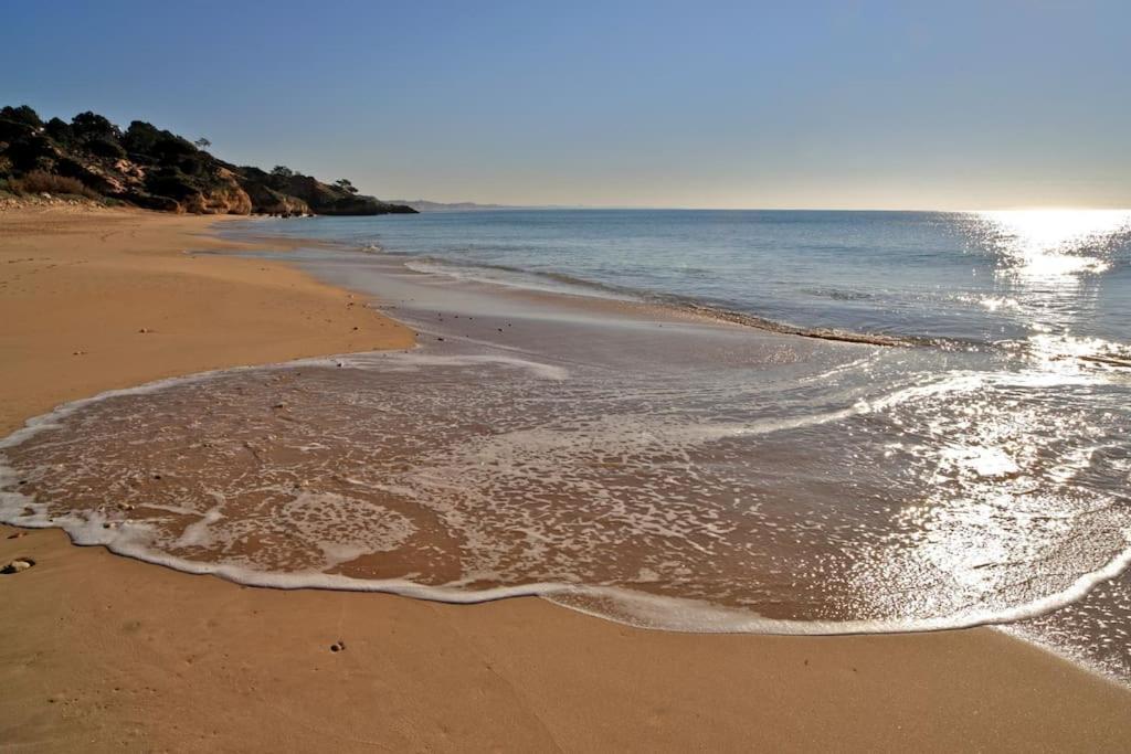 Superbe Paradis Dans Les Jardins De La Marina Appartamento