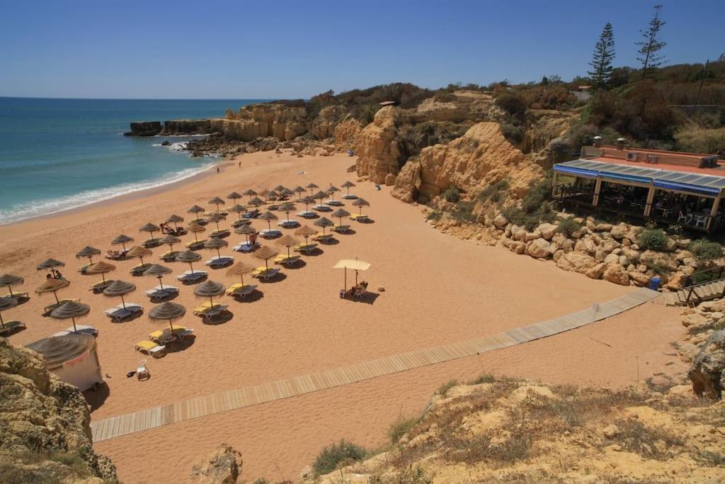 Superbe Paradis Dans Les Jardins De La Marina Appartamento